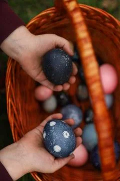 Egg hunt, Easter basket with eggs and child hands Stock Photos