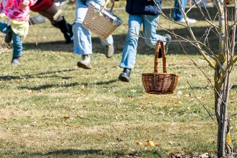 Egg hunt at Easter Stock Photos