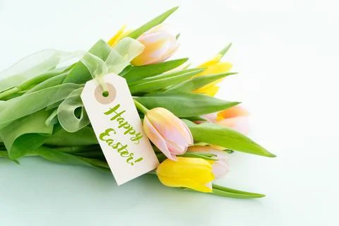 Egg hunt with Easter white bunny Stock Photos