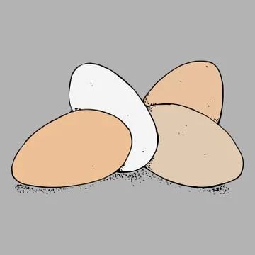 Egg icon. Vector of an egg. Hand drawn sketch eggs. Stock Illustration