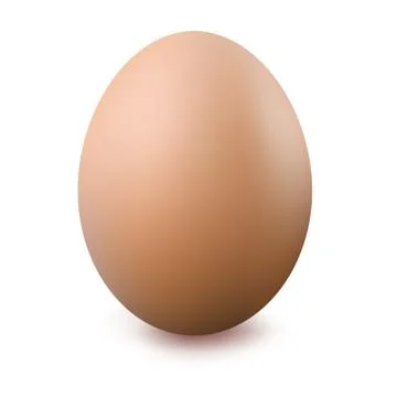 Egg Stock Illustration