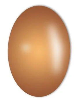 Egg Stock Illustration