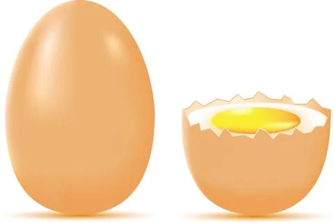 Egg Stock Illustration