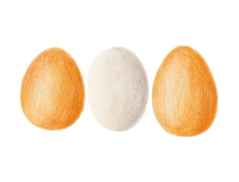 Egg Illustration, Egg Drawing Stock Illustration