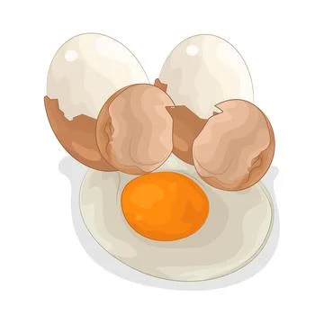 Egg Illustration Stock Illustration