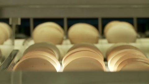 Egg industry Stock Footage 100660637