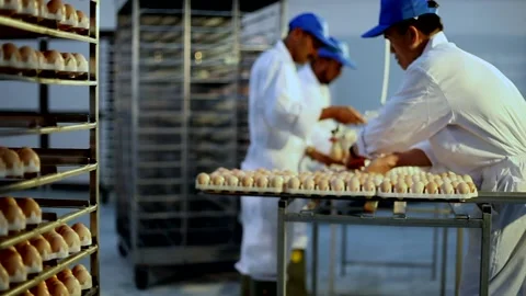 Egg industry Stock Footage 141418113