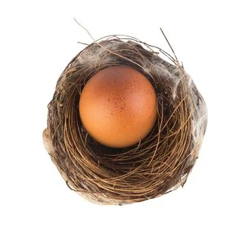 Egg inside bird nest top view isolated on white background Stock Photos