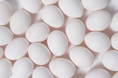Egg Isolate. Stock Photos
