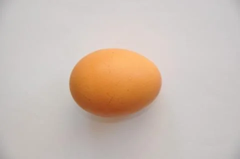 Egg isolate on white Stock Photos