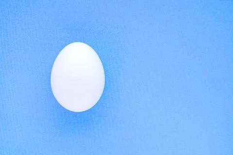 Egg isolated on a blue background close-up. Stock Photos