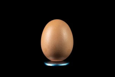 Egg isolated on a dark background 스톡 사진