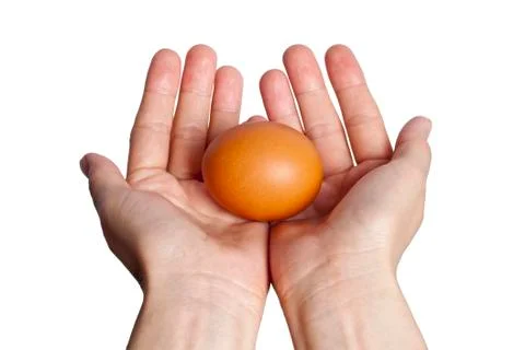 Egg isolated over white Stock Photos