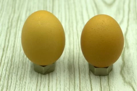 Egg isolated on white background cutout . Stock Photos