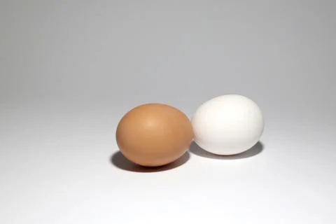 Egg isolated on white background cutout Stock Photos