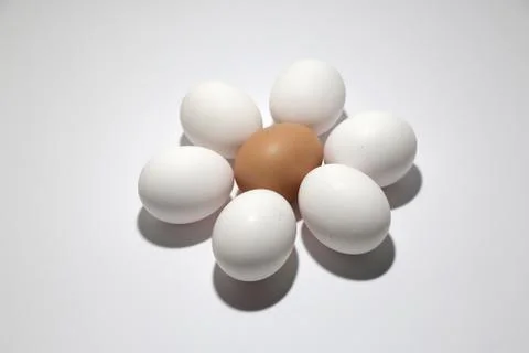 Egg isolated on white background cutout Stock Photos