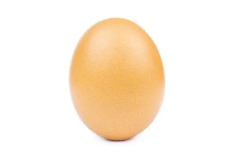 Egg isolated white background cutout Stock Photos