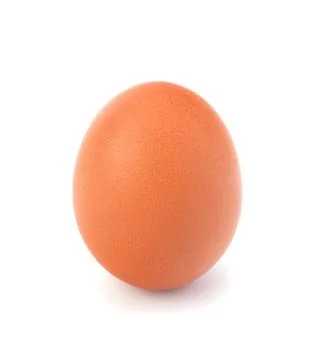 Egg isolated on white background Stock Photos