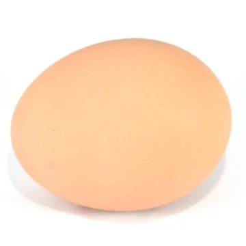 Egg isolated on white background Stock Photos