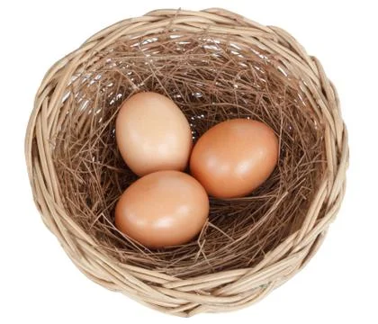 Egg isolated on white background Stock Photos