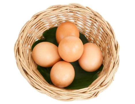 Egg isolated on white background Stock Photos