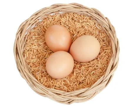 Egg isolated on white background Stockfoto's