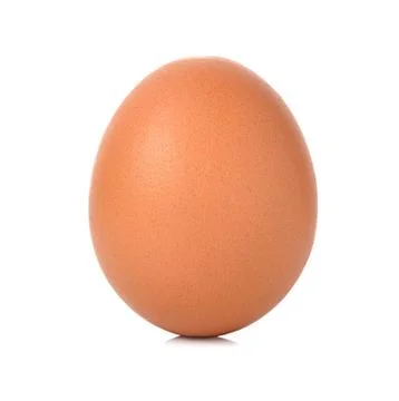 Egg isolated on white background Stock Photos