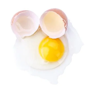 Egg isolated on a white background Stock Photos