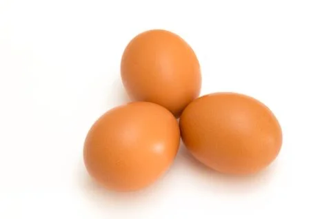 Egg isolated on white background Stock Photos
