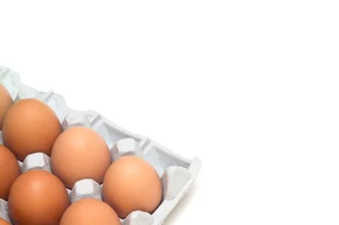 Egg isolated on white background Stock Photos