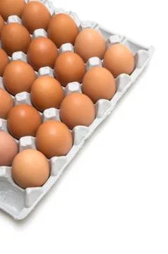 Egg isolated on white background Foto stock