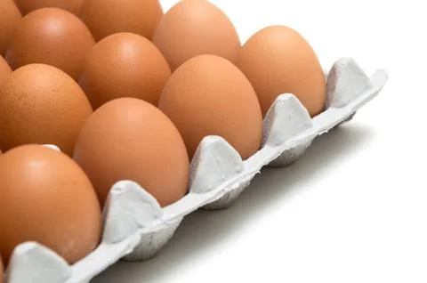 Egg isolated on white background Stock Photos