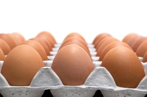 Egg isolated on white background Foto stock