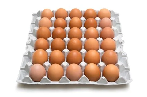Egg isolated on white background Stock-Fotos