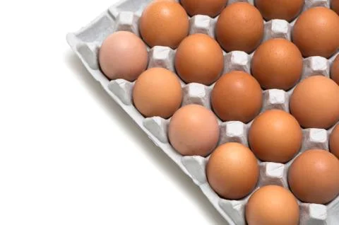 Egg isolated on white background Stock-Fotos