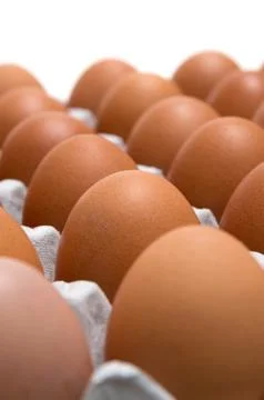 Egg isolated on white background Stock Photos