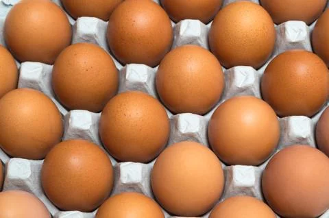 Egg isolated on white background Foto stock