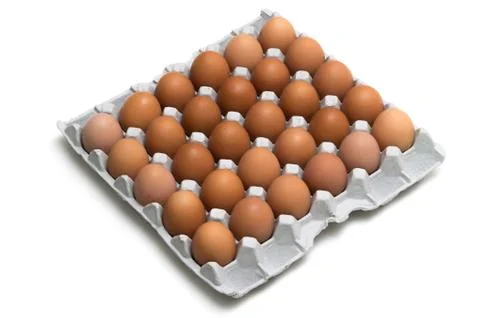 Egg isolated on white background Stock Photos