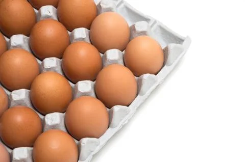 Egg isolated on white background Stock Photos