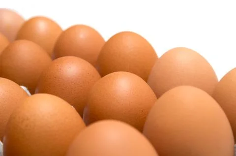 Egg isolated on white background Stock Photos