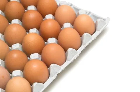 Egg isolated on white background Stock Photos