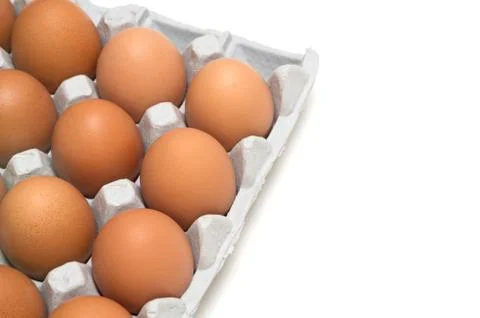 Egg isolated on white background Stock Photos