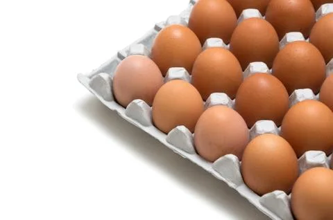 Egg isolated on white background Stock Photos