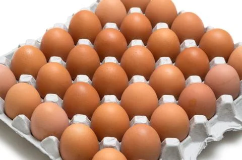 Egg isolated on white background Stock Photos