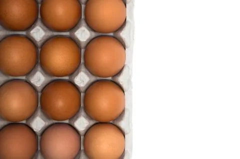 Egg isolated on white background Stock Photos