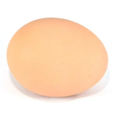 Egg isolated on white background Stock Photos