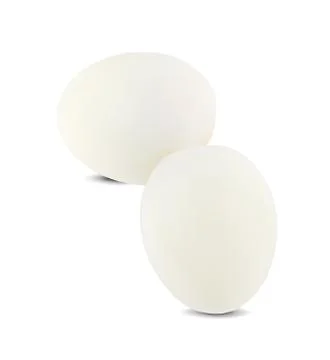 Egg isolated on white background Stock Photos