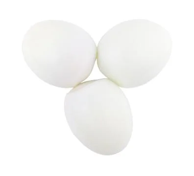 Egg isolated on white background Stock Photos