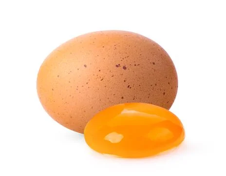 Egg isolated on white background Stock Photos