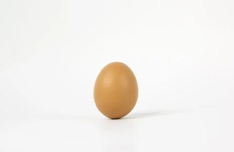 An egg isolated on white background Stock Photos